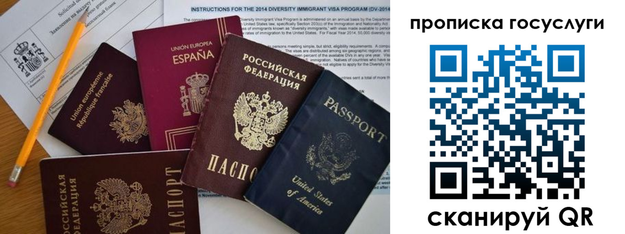 прописка гарантия в Советской Гавани